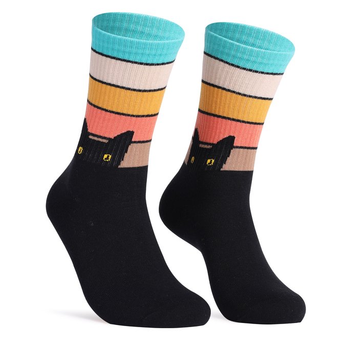 Cat and dog rainbow tube cotton socks